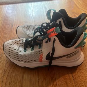 Lebron witness 5 basketball shoes